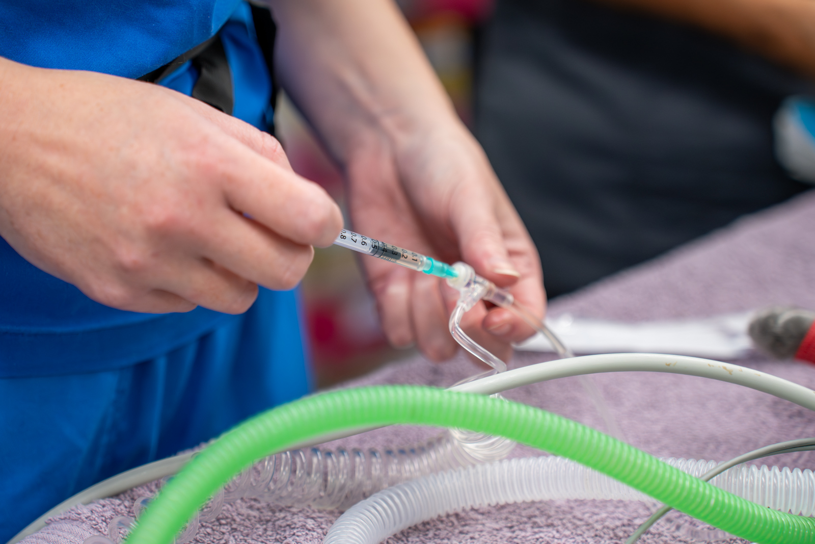 Oakwood Veterinary Referrals (Web) 071